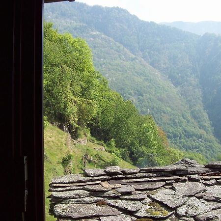 Appartamentino Nel Bosco Sondrio Kültér fotó