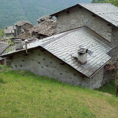 Appartamentino Nel Bosco Sondrio Kültér fotó
