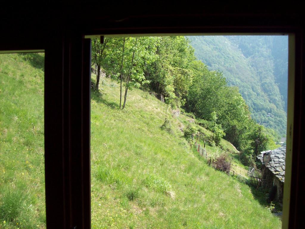 Appartamentino Nel Bosco Sondrio Kültér fotó